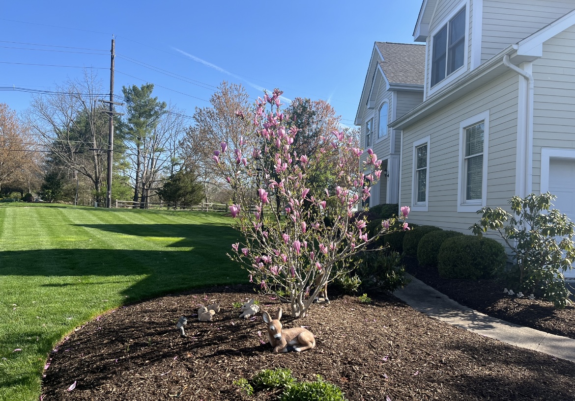 Spring Clean Up Completed By Green Valley